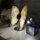 Natural Brazilian Agate "Butterfly Wings", 8" Tall #5050NA-145 - Brazil GemsBrazil GemsNatural Brazilian Agate "Butterfly Wings", 8" Tall #5050NA-145Agate Butterfly Wings5050NA-145