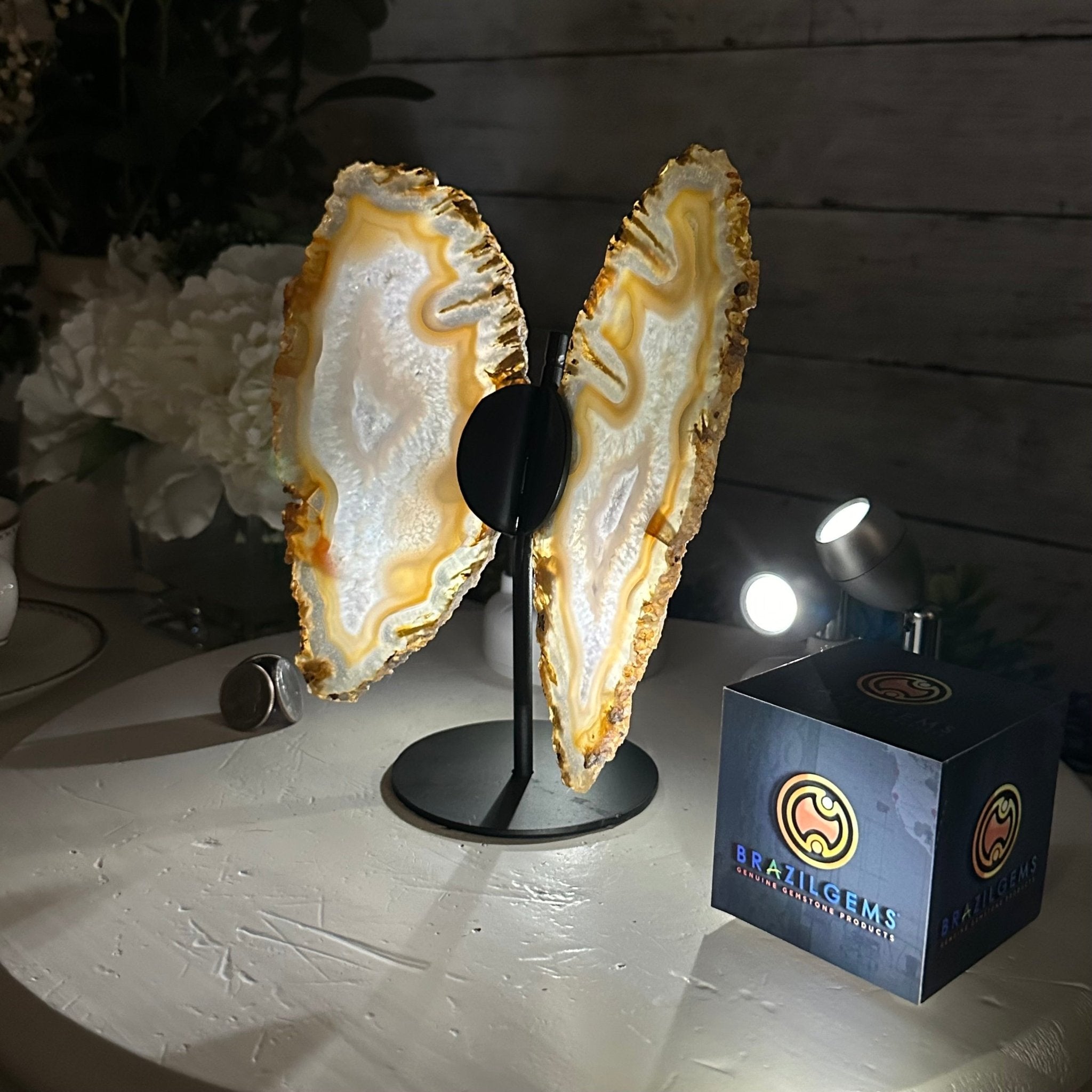 Natural Brazilian Agate "Butterfly Wings", 8" Tall #5050NA-145 - Brazil GemsBrazil GemsNatural Brazilian Agate "Butterfly Wings", 8" Tall #5050NA-145Agate Butterfly Wings5050NA-145
