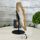 Natural Brazilian Agate "Butterfly Wings", 8" Tall #5050NA-145 - Brazil GemsBrazil GemsNatural Brazilian Agate "Butterfly Wings", 8" Tall #5050NA-145Agate Butterfly Wings5050NA-145