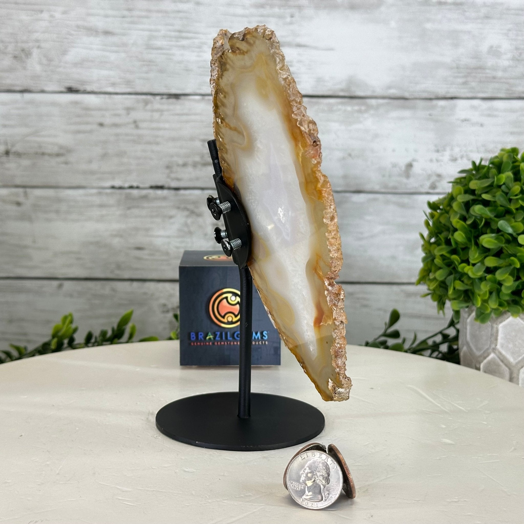 Natural Brazilian Agate "Butterfly Wings", 8" Tall #5050NA-145 - Brazil GemsBrazil GemsNatural Brazilian Agate "Butterfly Wings", 8" Tall #5050NA-145Agate Butterfly Wings5050NA-145
