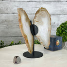 Natural Brazilian Agate "Butterfly Wings", 8" Tall #5050NA-145 - Brazil GemsBrazil GemsNatural Brazilian Agate "Butterfly Wings", 8" Tall #5050NA-145Agate Butterfly Wings5050NA-145