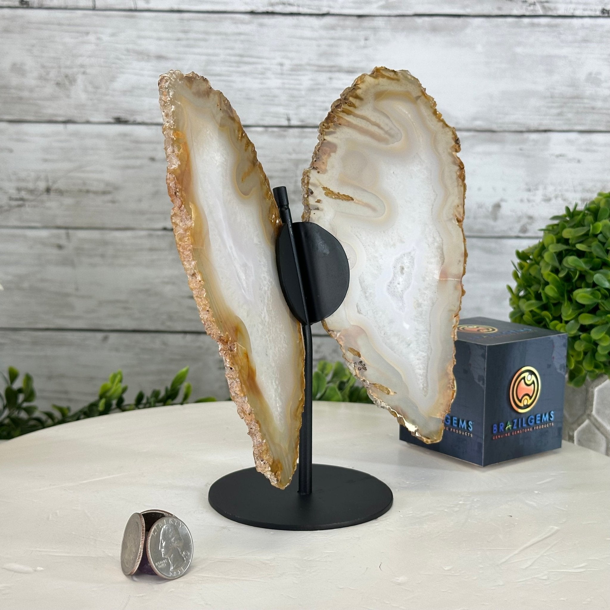 Natural Brazilian Agate "Butterfly Wings", 8" Tall #5050NA-145 - Brazil GemsBrazil GemsNatural Brazilian Agate "Butterfly Wings", 8" Tall #5050NA-145Agate Butterfly Wings5050NA-145