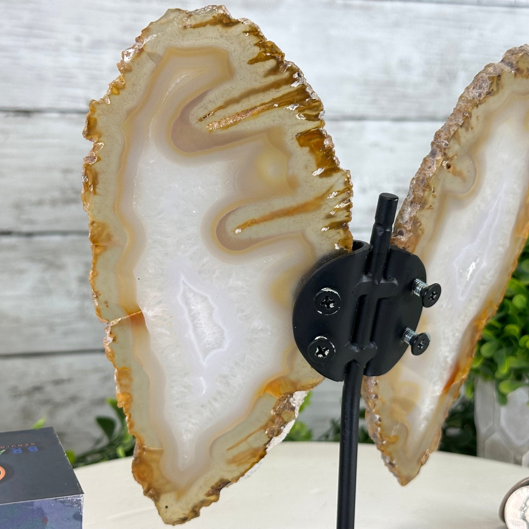 Natural Brazilian Agate "Butterfly Wings", 8" Tall #5050NA-145 - Brazil GemsBrazil GemsNatural Brazilian Agate "Butterfly Wings", 8" Tall #5050NA-145Agate Butterfly Wings5050NA-145