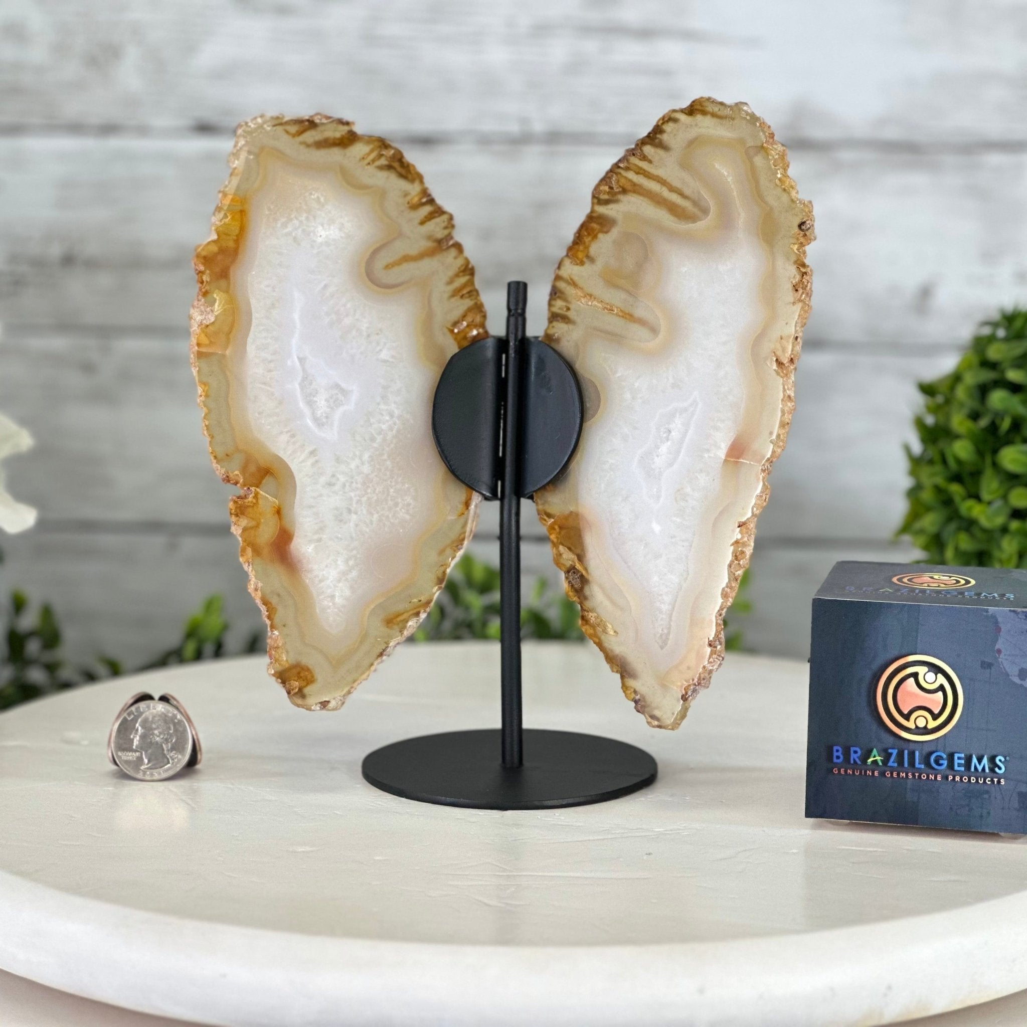 Natural Brazilian Agate "Butterfly Wings", 8" Tall #5050NA-145 - Brazil GemsBrazil GemsNatural Brazilian Agate "Butterfly Wings", 8" Tall #5050NA-145Agate Butterfly Wings5050NA-145