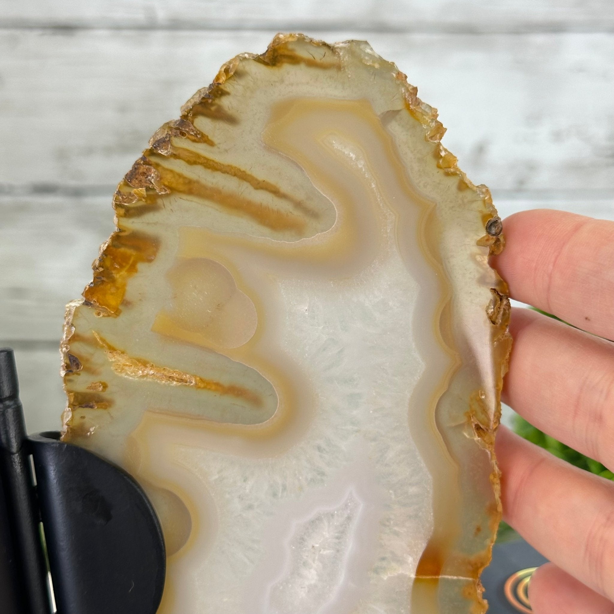Natural Brazilian Agate "Butterfly Wings", 8" Tall #5050NA-145 - Brazil GemsBrazil GemsNatural Brazilian Agate "Butterfly Wings", 8" Tall #5050NA-145Agate Butterfly Wings5050NA-145