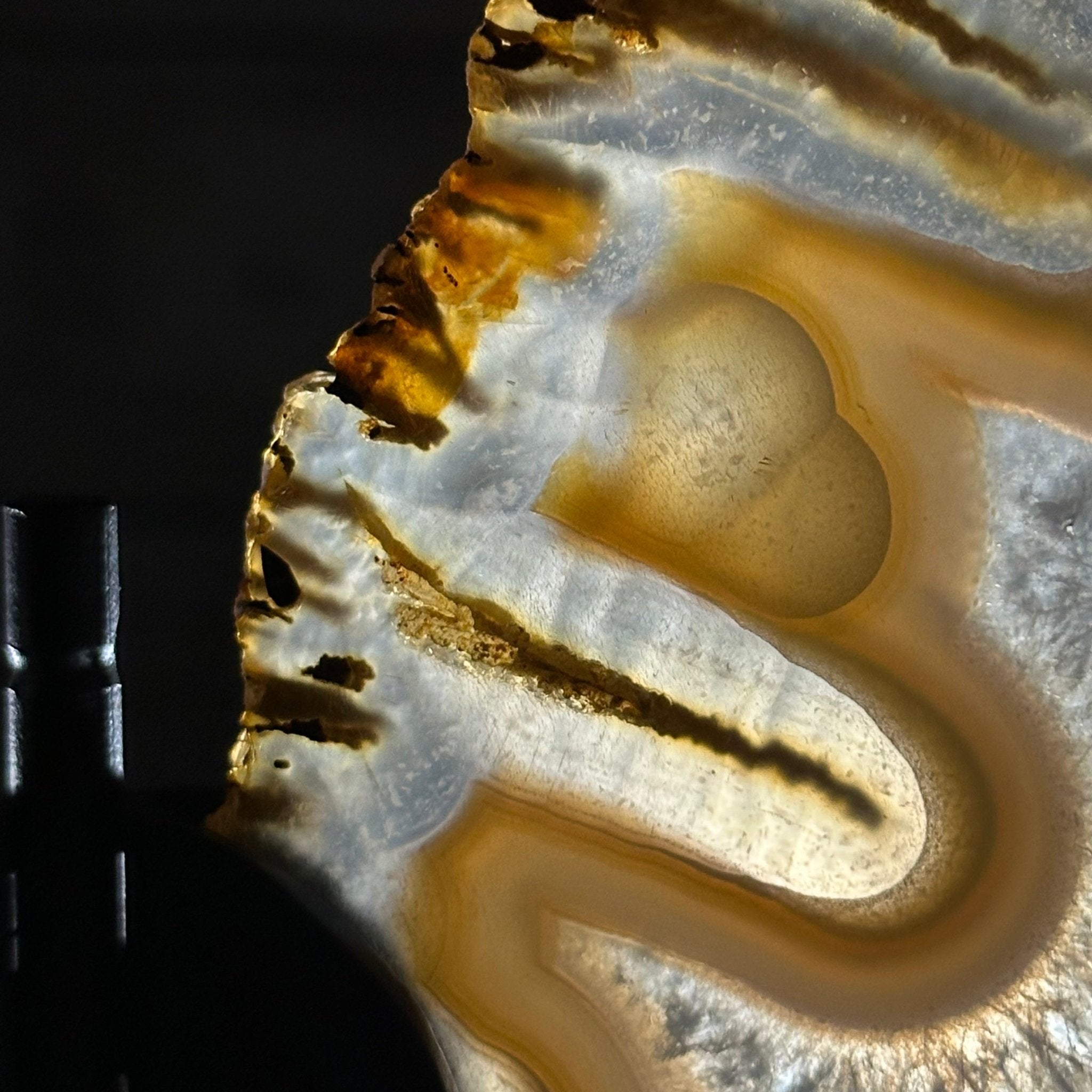 Natural Brazilian Agate "Butterfly Wings", 8" Tall #5050NA-145 - Brazil GemsBrazil GemsNatural Brazilian Agate "Butterfly Wings", 8" Tall #5050NA-145Agate Butterfly Wings5050NA-145