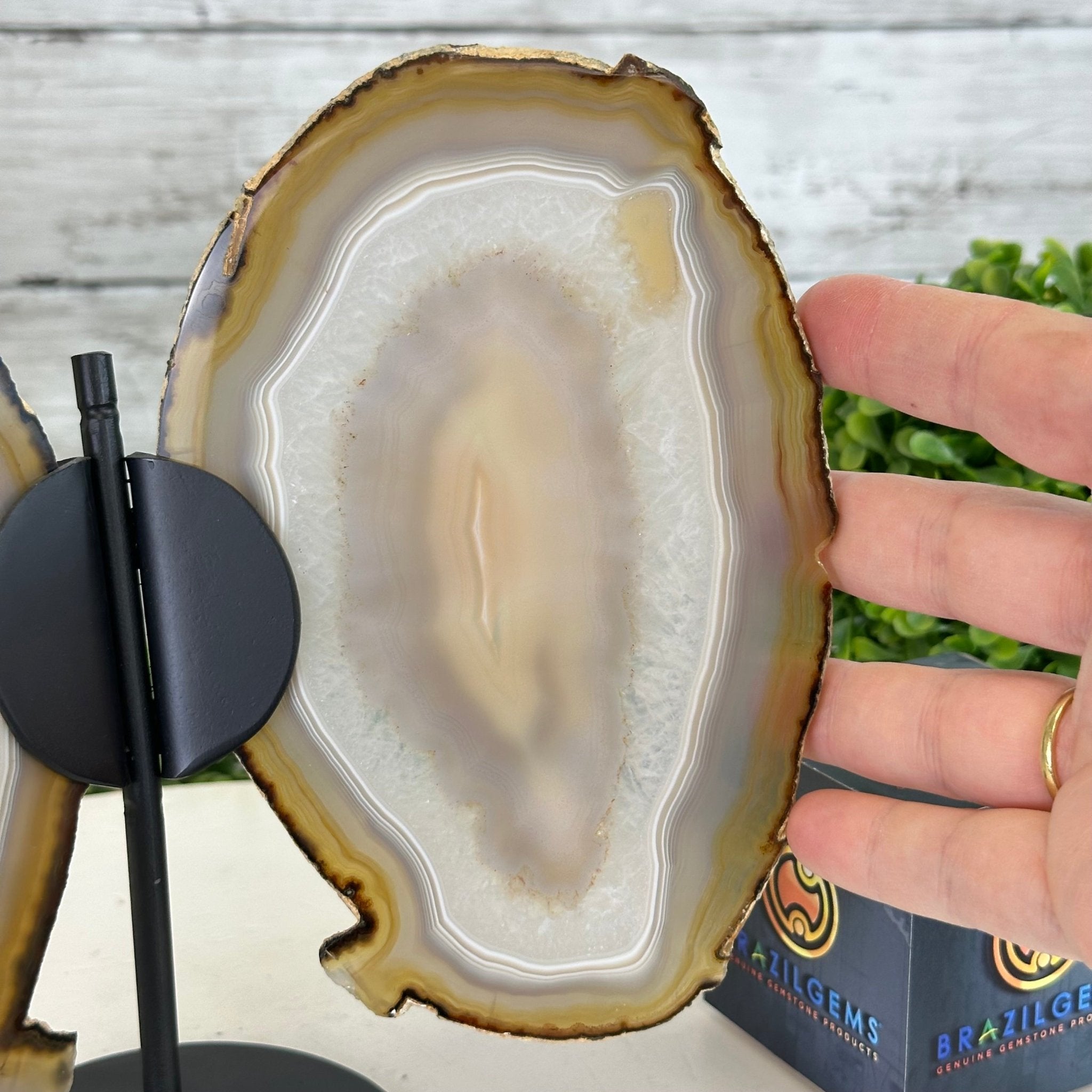 Natural Brazilian Agate "Butterfly Wings", 8" Tall #5050NA-146 - Brazil GemsBrazil GemsNatural Brazilian Agate "Butterfly Wings", 8" Tall #5050NA-146Agate Butterfly Wings5050NA-146