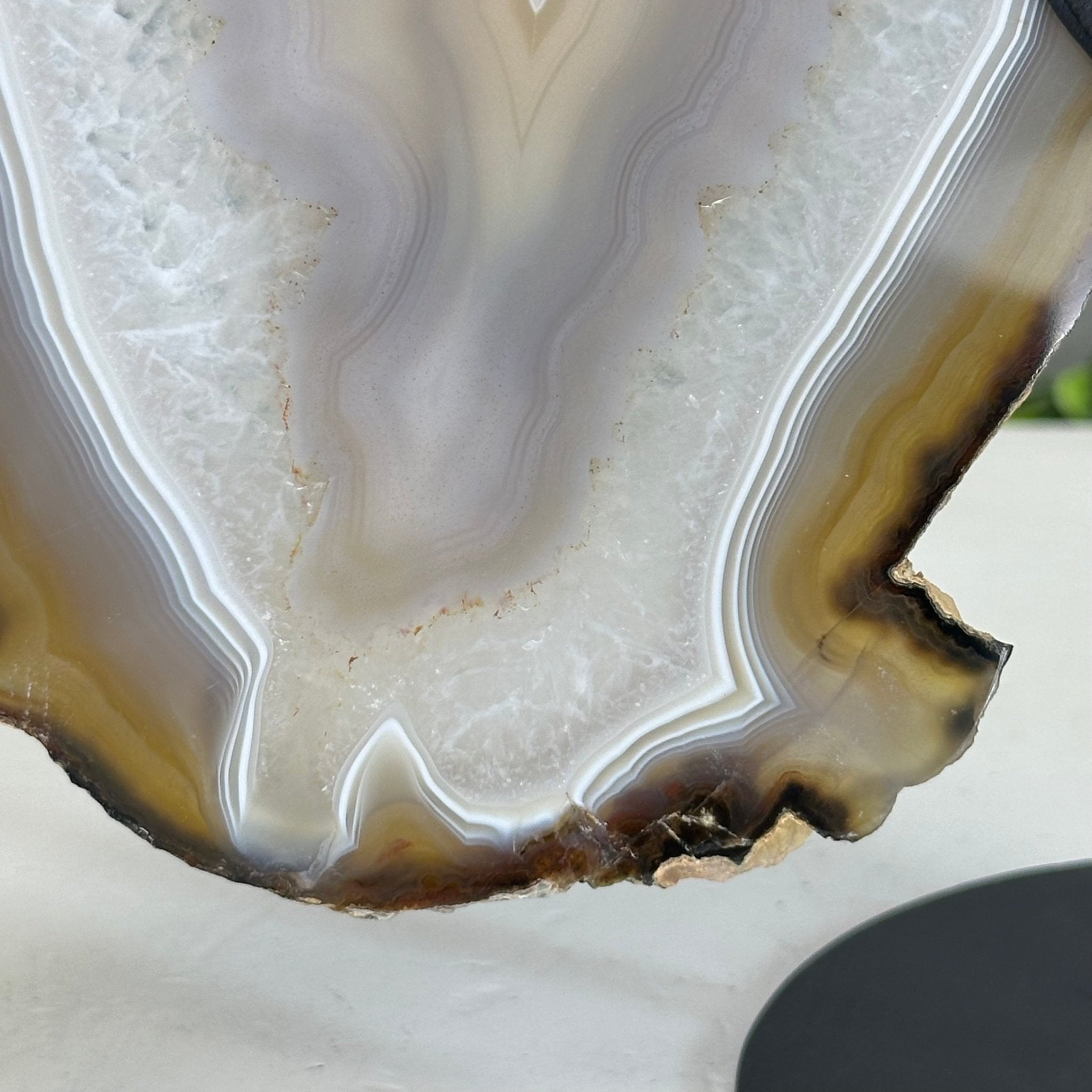 Natural Brazilian Agate "Butterfly Wings", 8" Tall #5050NA-146 - Brazil GemsBrazil GemsNatural Brazilian Agate "Butterfly Wings", 8" Tall #5050NA-146Agate Butterfly Wings5050NA-146