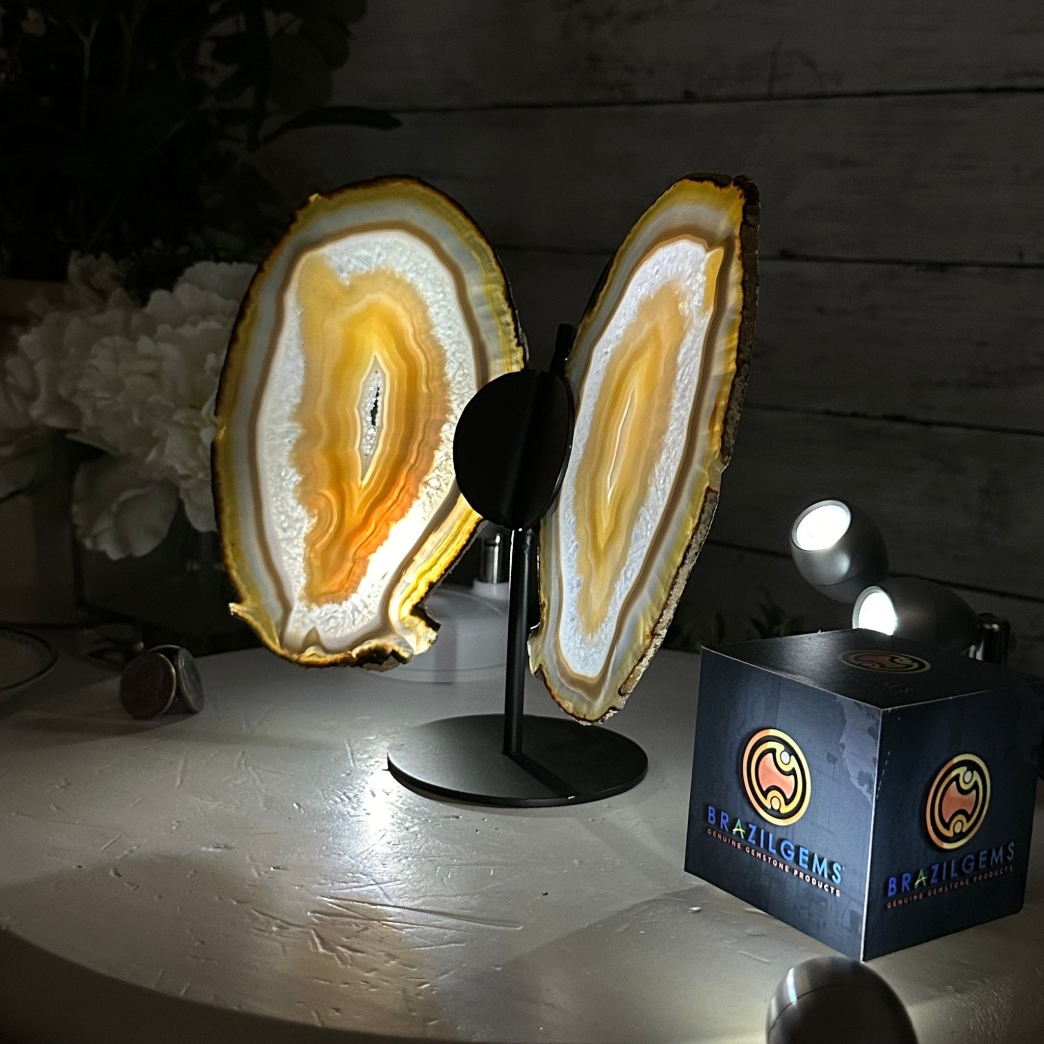 Natural Brazilian Agate "Butterfly Wings", 8" Tall #5050NA-146 - Brazil GemsBrazil GemsNatural Brazilian Agate "Butterfly Wings", 8" Tall #5050NA-146Agate Butterfly Wings5050NA-146