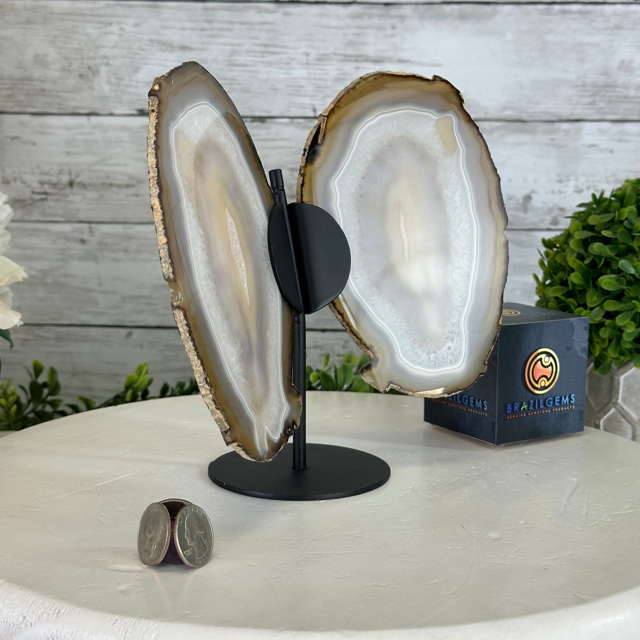 Natural Brazilian Agate "Butterfly Wings", 8" Tall #5050NA-146 - Brazil GemsBrazil GemsNatural Brazilian Agate "Butterfly Wings", 8" Tall #5050NA-146Agate Butterfly Wings5050NA-146