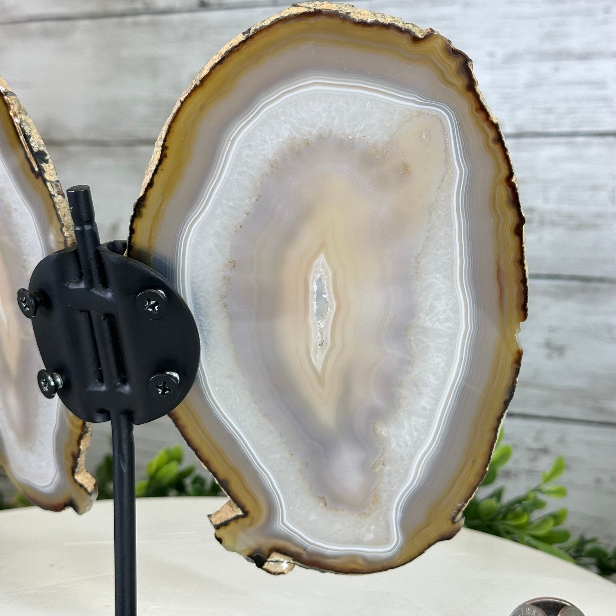 Natural Brazilian Agate "Butterfly Wings", 8" Tall #5050NA-146 - Brazil GemsBrazil GemsNatural Brazilian Agate "Butterfly Wings", 8" Tall #5050NA-146Agate Butterfly Wings5050NA-146