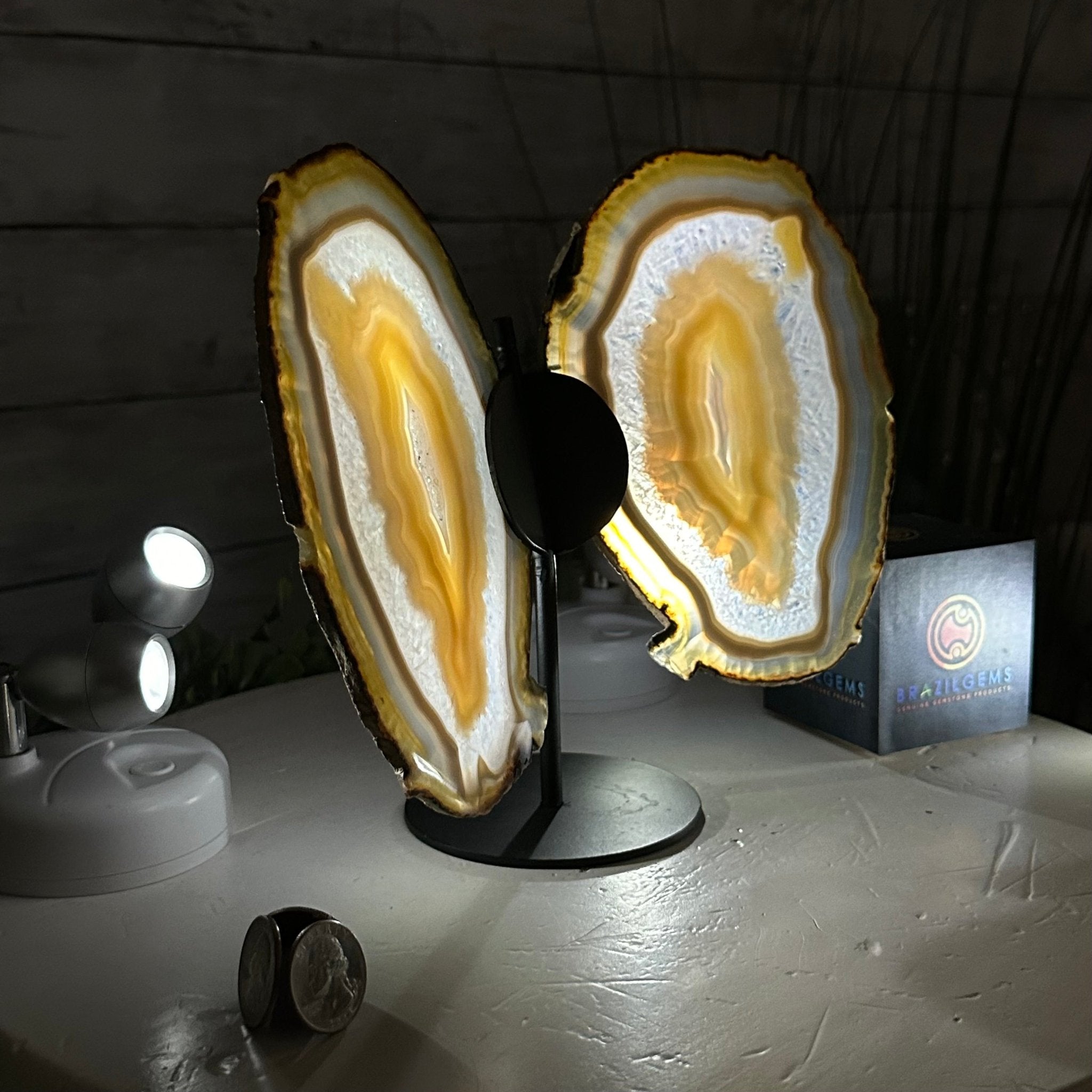 Natural Brazilian Agate "Butterfly Wings", 8" Tall #5050NA-146 - Brazil GemsBrazil GemsNatural Brazilian Agate "Butterfly Wings", 8" Tall #5050NA-146Agate Butterfly Wings5050NA-146