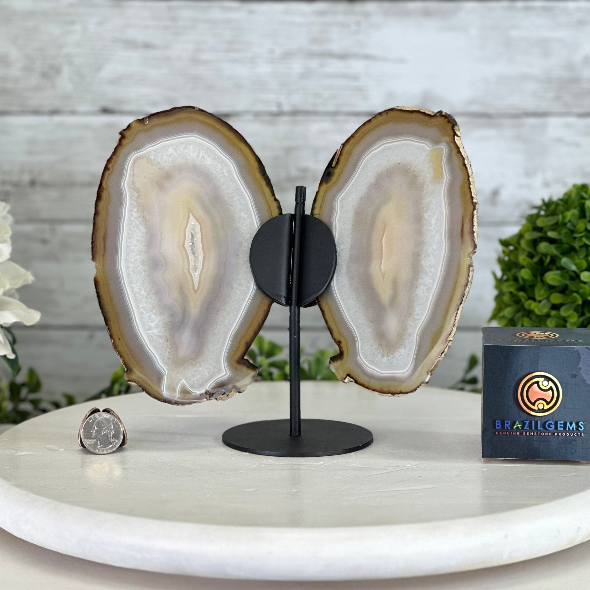 Natural Brazilian Agate "Butterfly Wings", 8" Tall #5050NA-146 - Brazil GemsBrazil GemsNatural Brazilian Agate "Butterfly Wings", 8" Tall #5050NA-146Agate Butterfly Wings5050NA-146