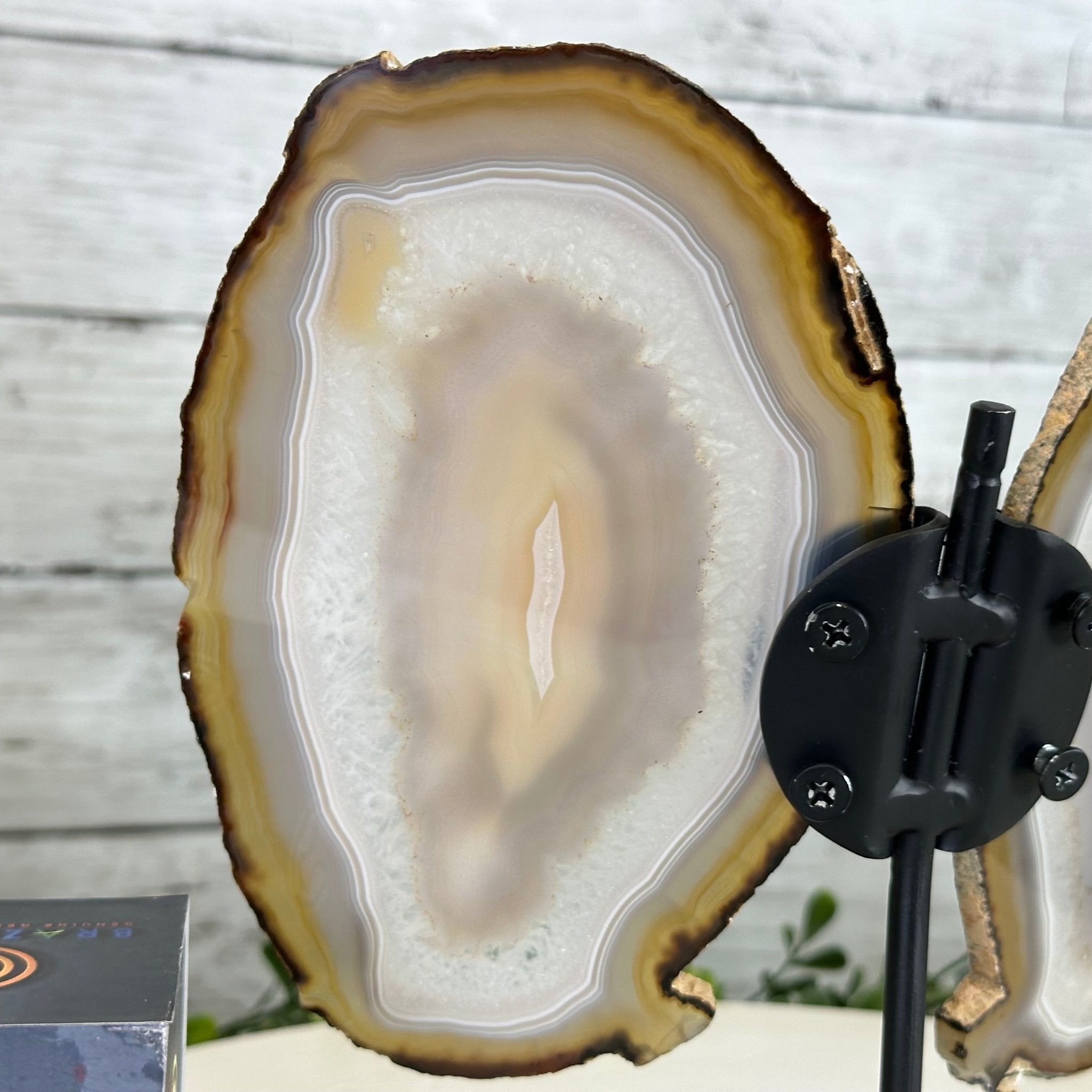 Natural Brazilian Agate "Butterfly Wings", 8" Tall #5050NA-146 - Brazil GemsBrazil GemsNatural Brazilian Agate "Butterfly Wings", 8" Tall #5050NA-146Agate Butterfly Wings5050NA-146