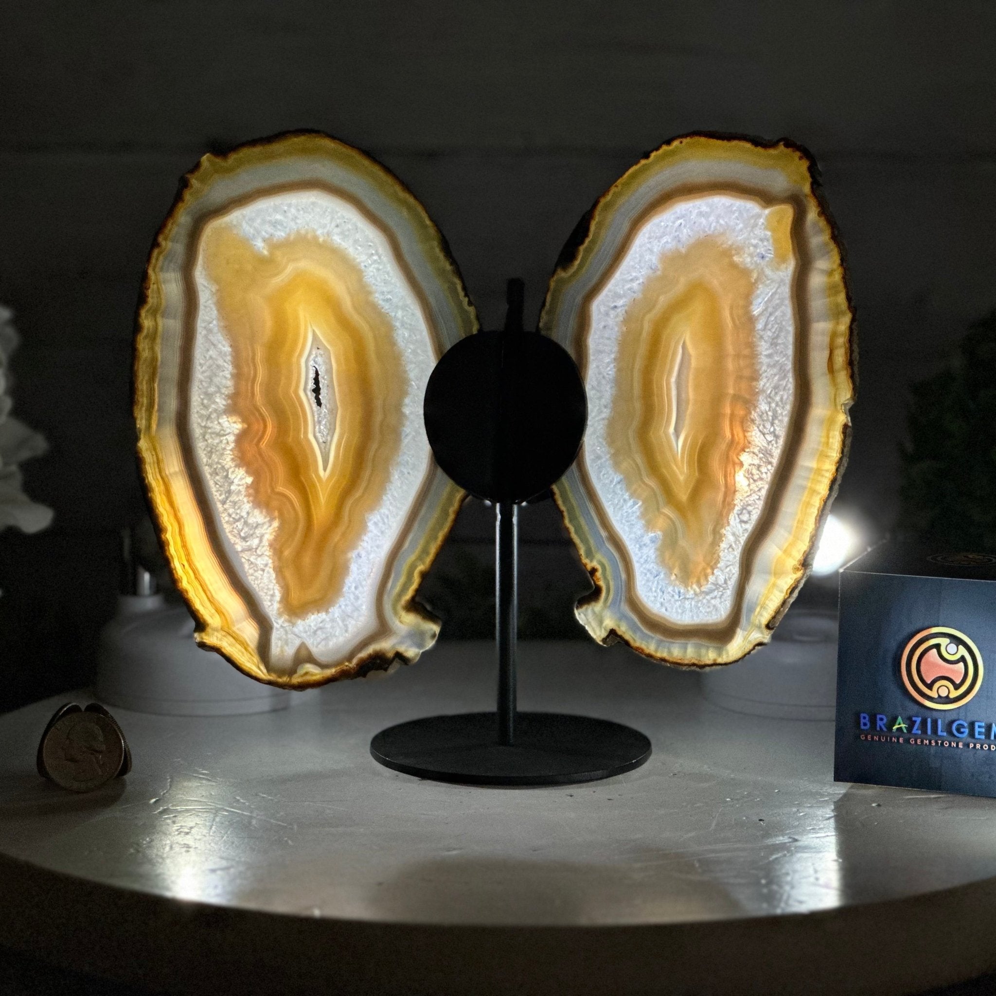 Natural Brazilian Agate "Butterfly Wings", 8" Tall #5050NA-146 - Brazil GemsBrazil GemsNatural Brazilian Agate "Butterfly Wings", 8" Tall #5050NA-146Agate Butterfly Wings5050NA-146
