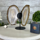 Natural Brazilian Agate "Butterfly Wings", 8" Tall #5050NA-146 - Brazil GemsBrazil GemsNatural Brazilian Agate "Butterfly Wings", 8" Tall #5050NA-146Agate Butterfly Wings5050NA-146