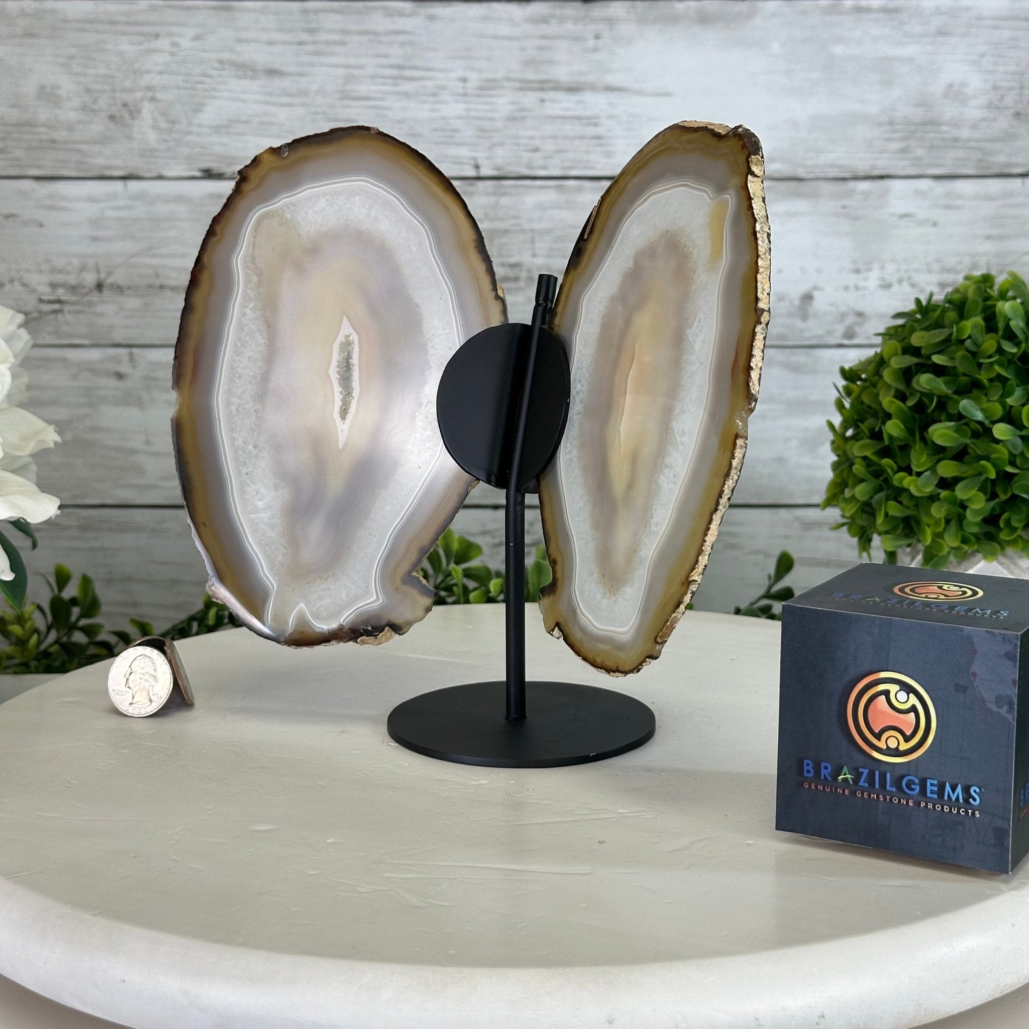 Natural Brazilian Agate "Butterfly Wings", 8" Tall #5050NA-146 - Brazil GemsBrazil GemsNatural Brazilian Agate "Butterfly Wings", 8" Tall #5050NA-146Agate Butterfly Wings5050NA-146