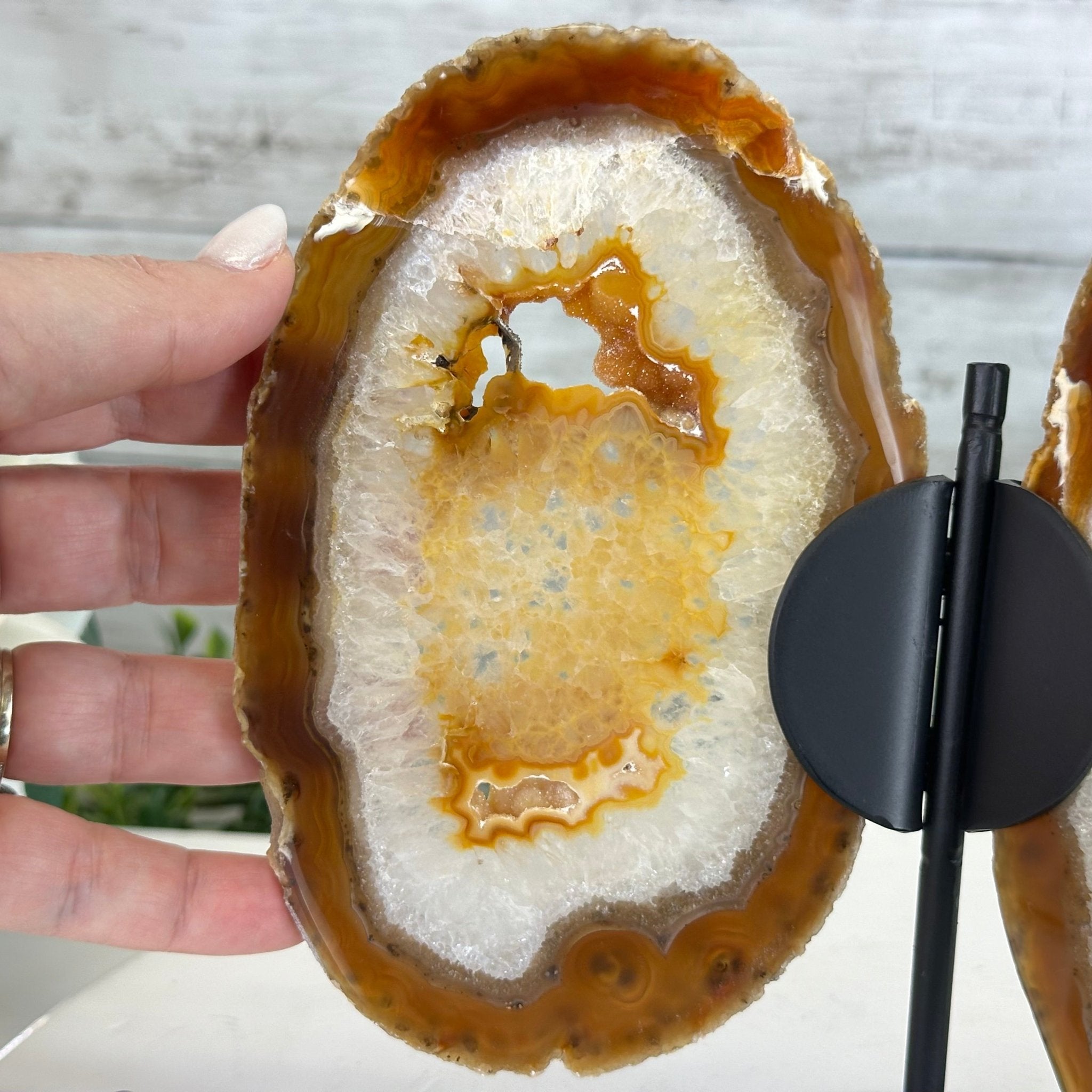 Natural Brazilian Agate "Butterfly Wings", 8.1" Tall #5050NA-153 - Brazil GemsBrazil GemsNatural Brazilian Agate "Butterfly Wings", 8.1" Tall #5050NA-153Agate Butterfly Wings5050NA-153