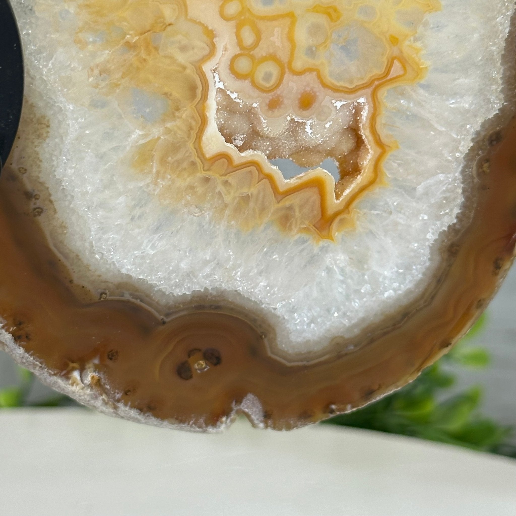 Natural Brazilian Agate "Butterfly Wings", 8.1" Tall #5050NA-153 - Brazil GemsBrazil GemsNatural Brazilian Agate "Butterfly Wings", 8.1" Tall #5050NA-153Agate Butterfly Wings5050NA-153