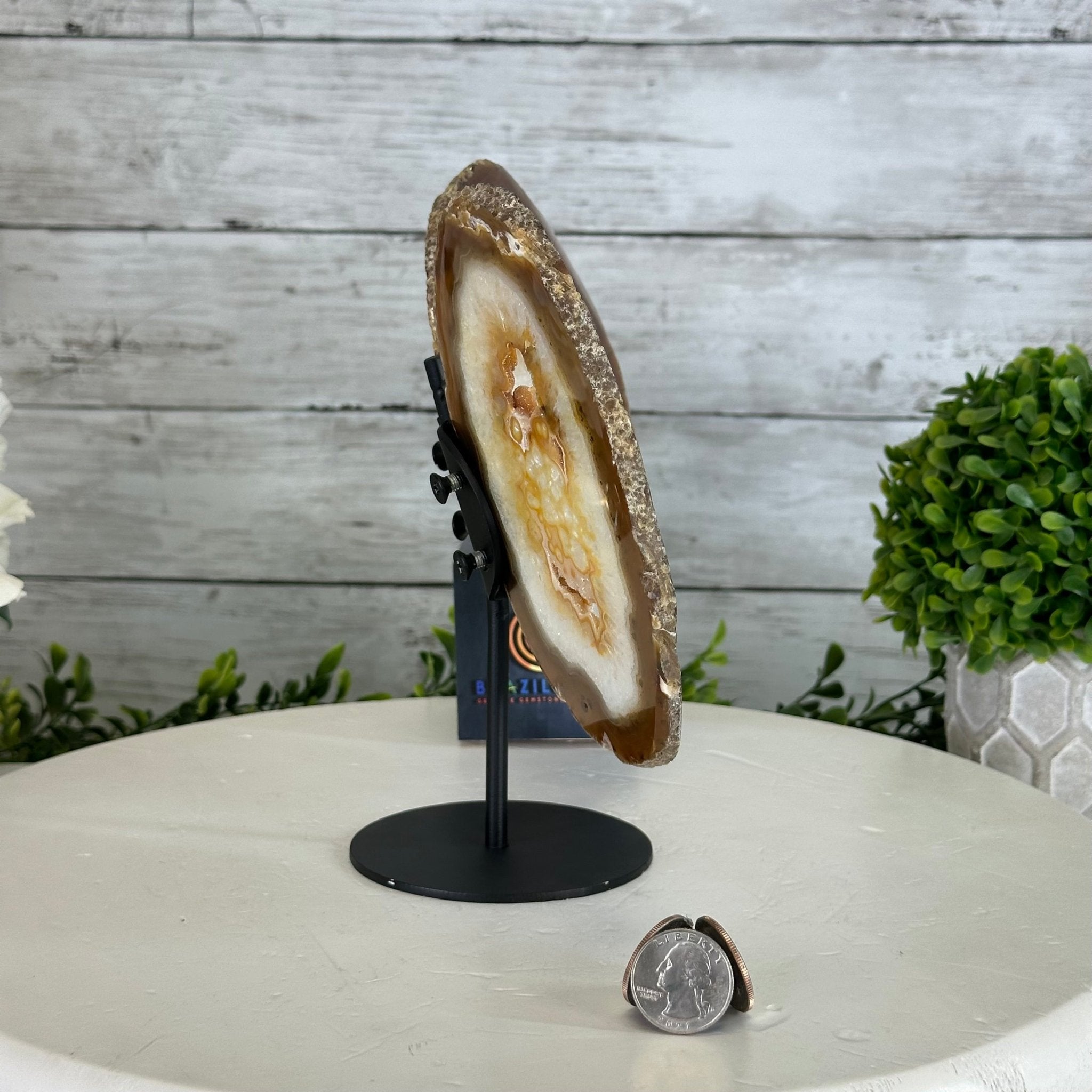 Natural Brazilian Agate "Butterfly Wings", 8.1" Tall #5050NA-153 - Brazil GemsBrazil GemsNatural Brazilian Agate "Butterfly Wings", 8.1" Tall #5050NA-153Agate Butterfly Wings5050NA-153