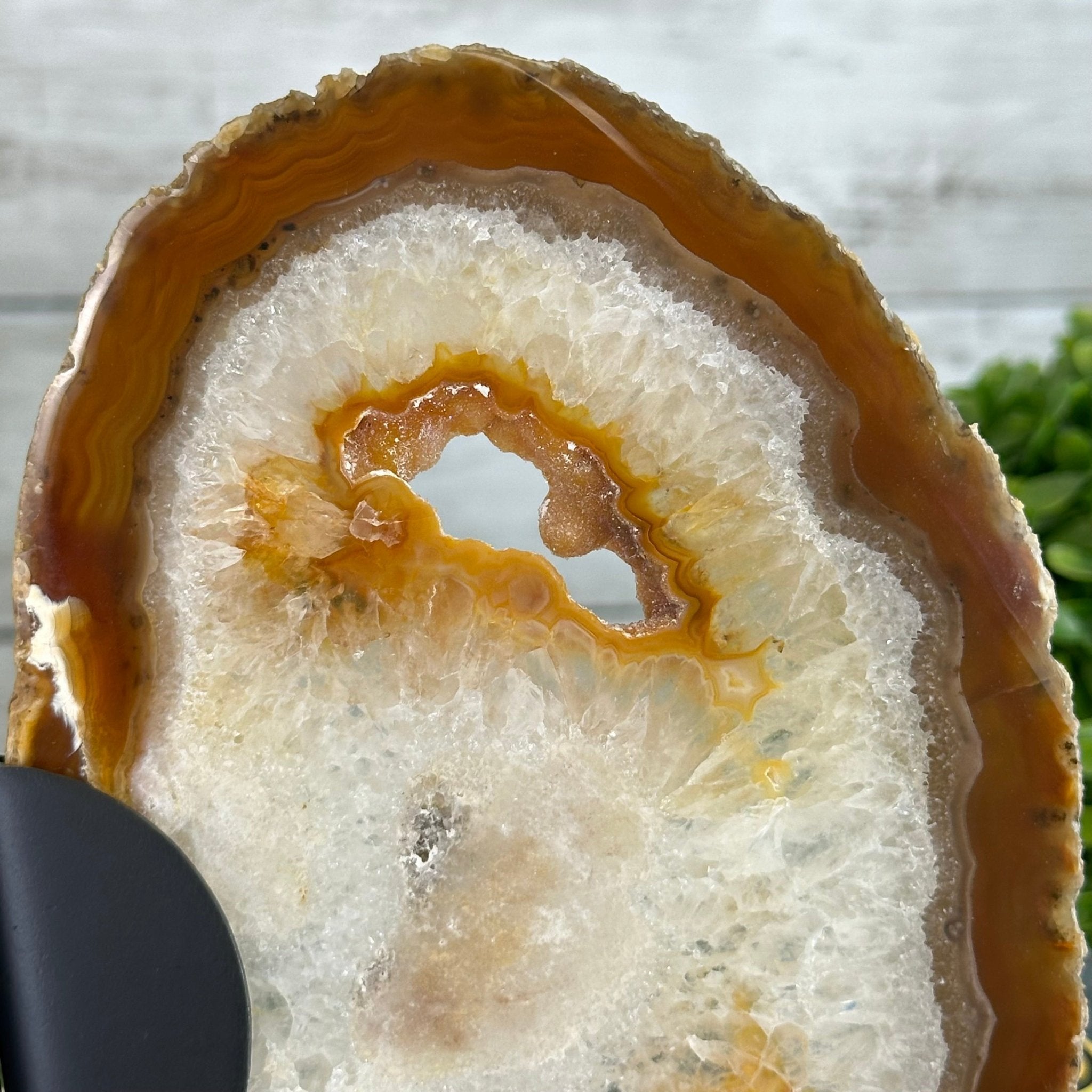 Natural Brazilian Agate "Butterfly Wings", 8.1" Tall #5050NA-153 - Brazil GemsBrazil GemsNatural Brazilian Agate "Butterfly Wings", 8.1" Tall #5050NA-153Agate Butterfly Wings5050NA-153