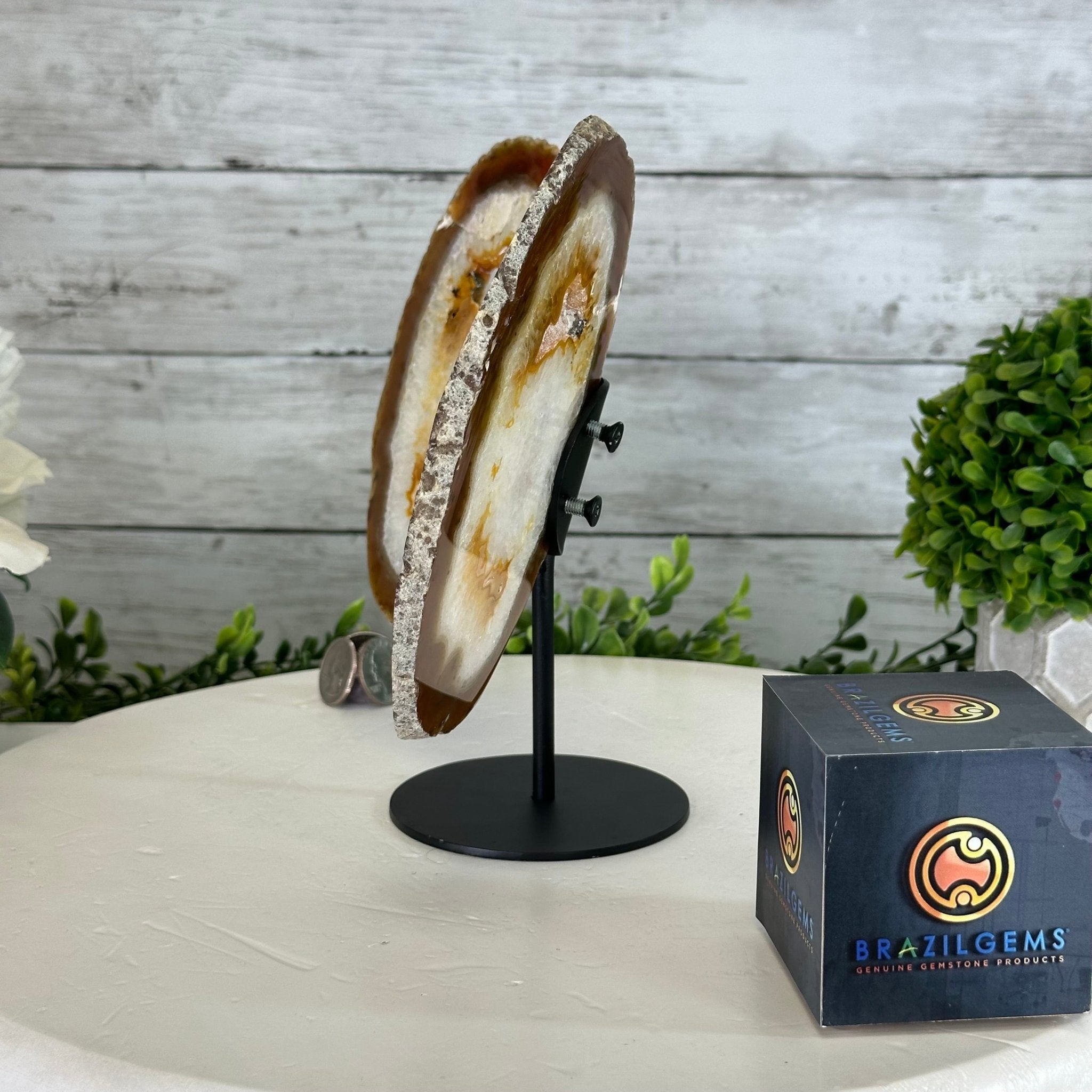 Natural Brazilian Agate "Butterfly Wings", 8.1" Tall #5050NA-153 - Brazil GemsBrazil GemsNatural Brazilian Agate "Butterfly Wings", 8.1" Tall #5050NA-153Agate Butterfly Wings5050NA-153