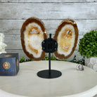 Natural Brazilian Agate "Butterfly Wings", 8.1" Tall #5050NA-153 - Brazil GemsBrazil GemsNatural Brazilian Agate "Butterfly Wings", 8.1" Tall #5050NA-153Agate Butterfly Wings5050NA-153