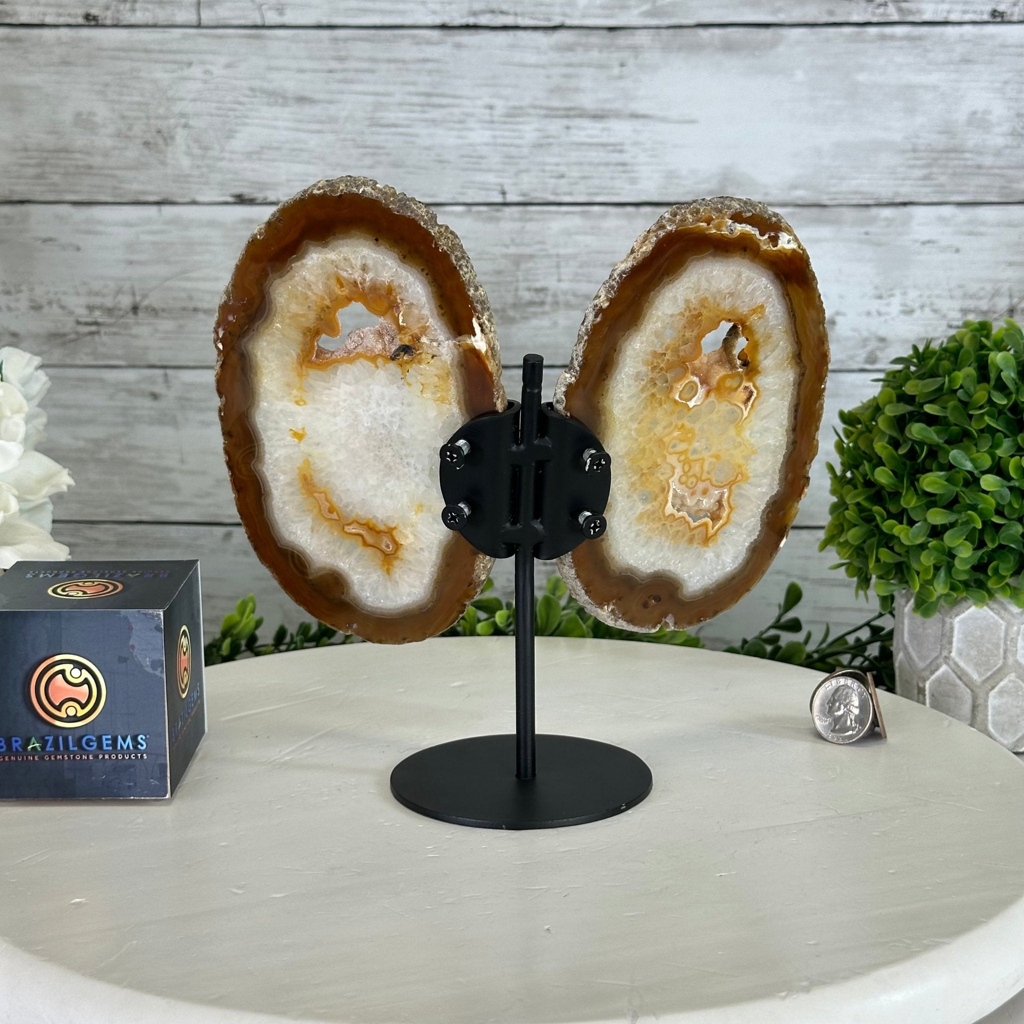 Natural Brazilian Agate "Butterfly Wings", 8.1" Tall #5050NA-153 - Brazil GemsBrazil GemsNatural Brazilian Agate "Butterfly Wings", 8.1" Tall #5050NA-153Agate Butterfly Wings5050NA-153