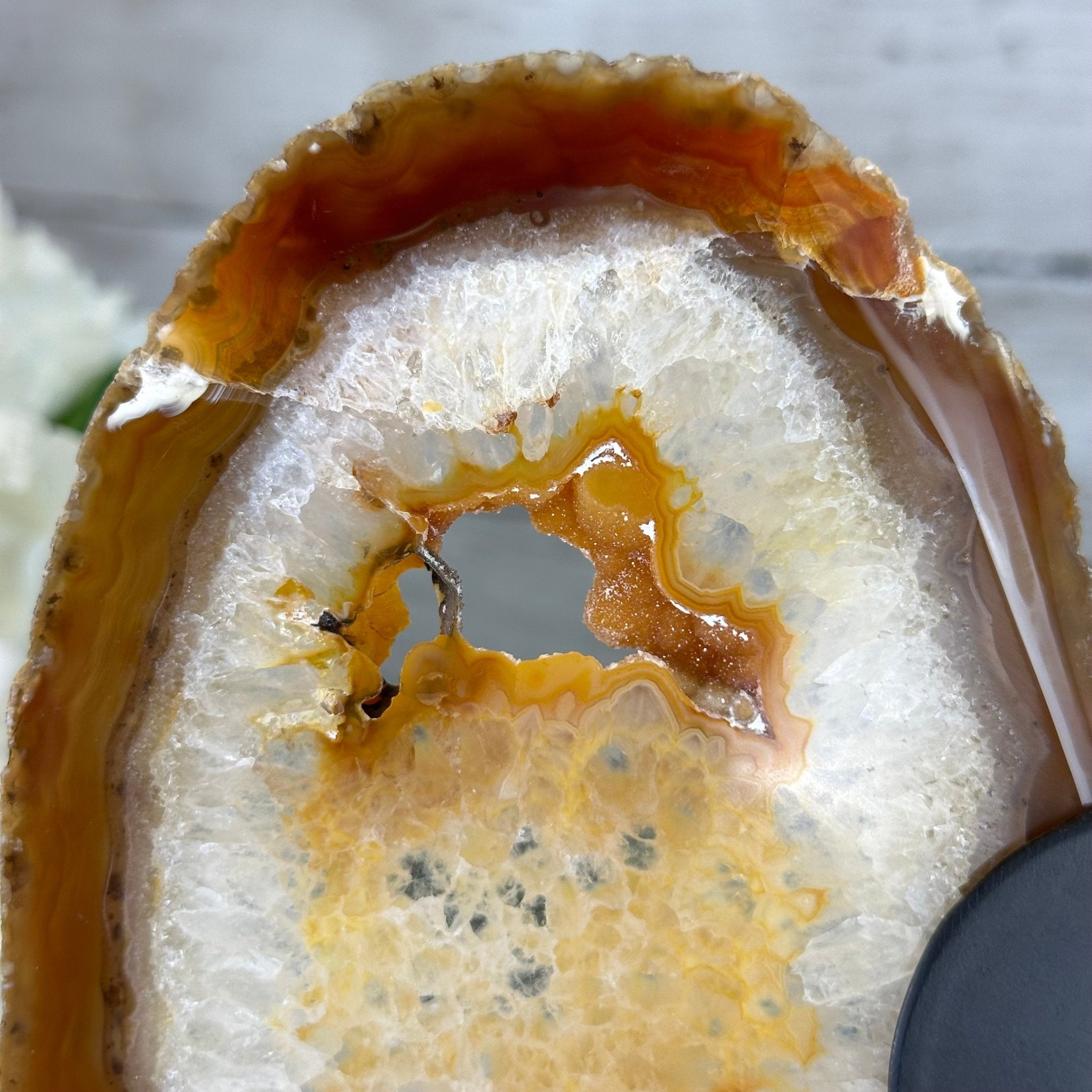 Natural Brazilian Agate "Butterfly Wings", 8.1" Tall #5050NA-153 - Brazil GemsBrazil GemsNatural Brazilian Agate "Butterfly Wings", 8.1" Tall #5050NA-153Agate Butterfly Wings5050NA-153