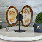 Natural Brazilian Agate "Butterfly Wings", 8.1" Tall #5050NA-153 - Brazil GemsBrazil GemsNatural Brazilian Agate "Butterfly Wings", 8.1" Tall #5050NA-153Agate Butterfly Wings5050NA-153