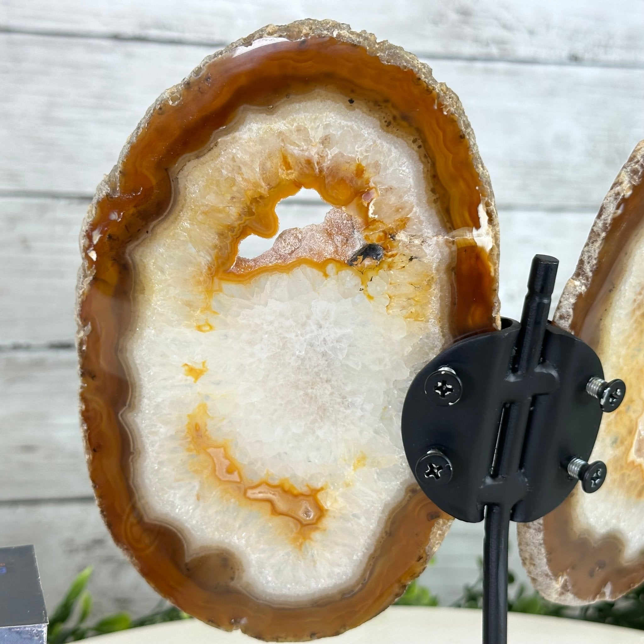 Natural Brazilian Agate "Butterfly Wings", 8.1" Tall #5050NA-153 - Brazil GemsBrazil GemsNatural Brazilian Agate "Butterfly Wings", 8.1" Tall #5050NA-153Agate Butterfly Wings5050NA-153