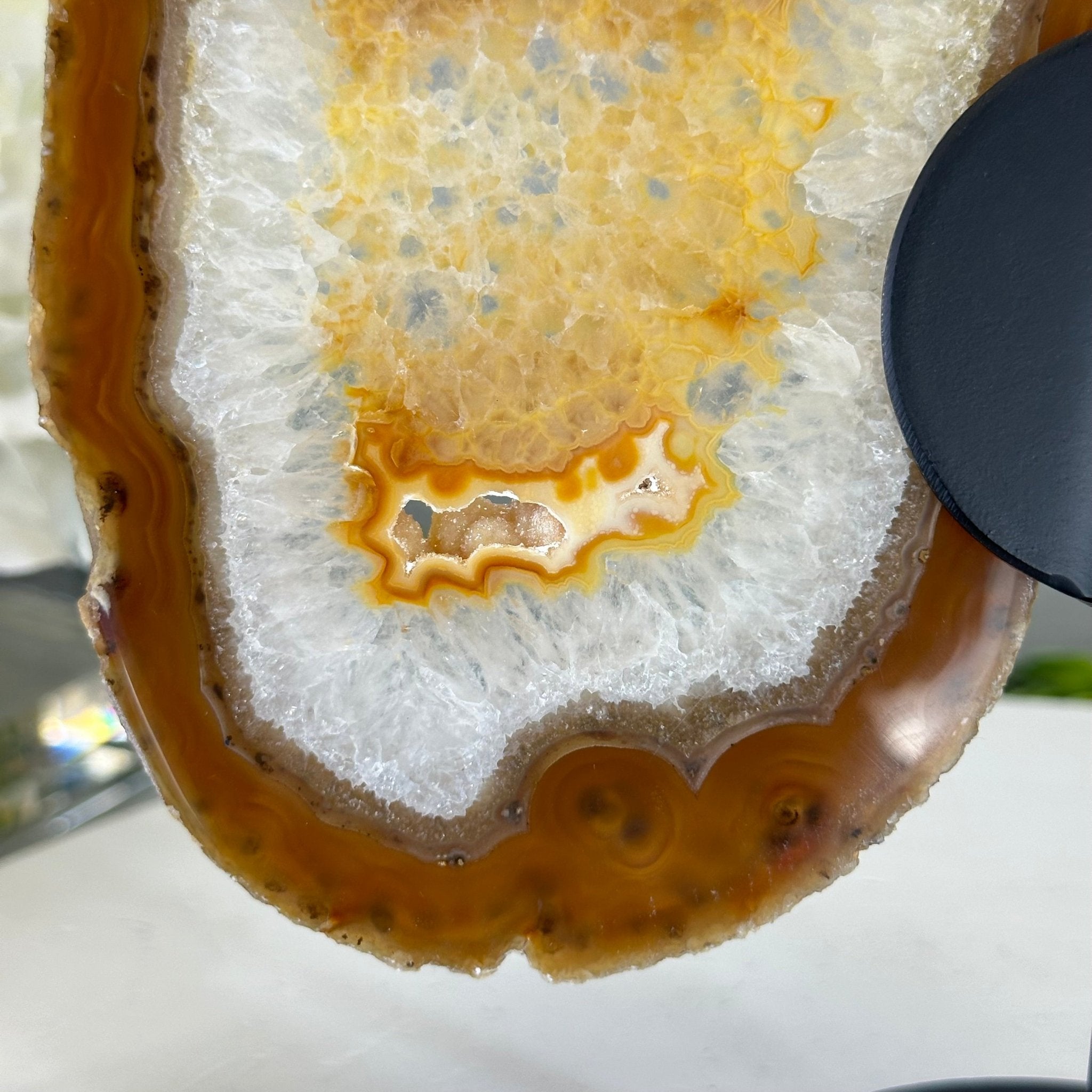 Natural Brazilian Agate "Butterfly Wings", 8.1" Tall #5050NA-153 - Brazil GemsBrazil GemsNatural Brazilian Agate "Butterfly Wings", 8.1" Tall #5050NA-153Agate Butterfly Wings5050NA-153