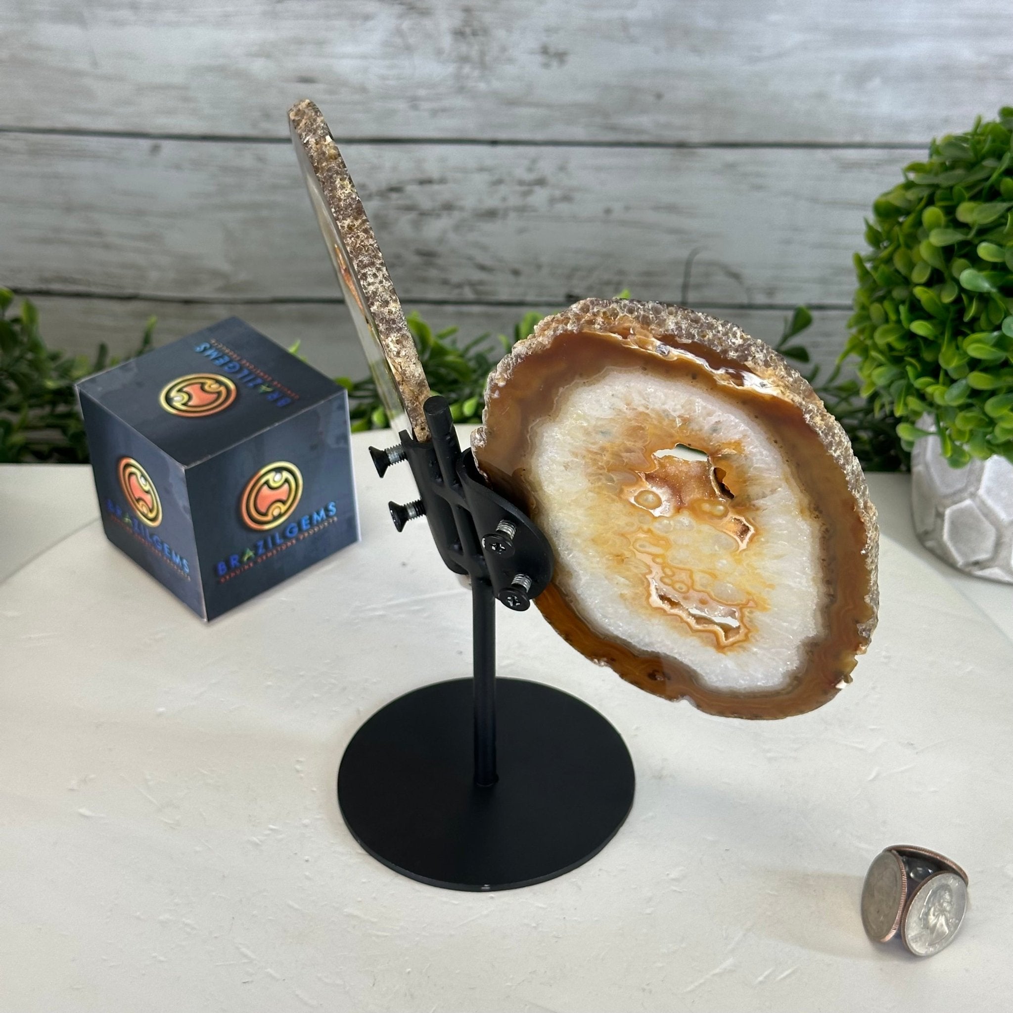 Natural Brazilian Agate "Butterfly Wings", 8.1" Tall #5050NA-153 - Brazil GemsBrazil GemsNatural Brazilian Agate "Butterfly Wings", 8.1" Tall #5050NA-153Agate Butterfly Wings5050NA-153