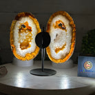Natural Brazilian Agate "Butterfly Wings", 8.1" Tall #5050NA-153 - Brazil GemsBrazil GemsNatural Brazilian Agate "Butterfly Wings", 8.1" Tall #5050NA-153Agate Butterfly Wings5050NA-153