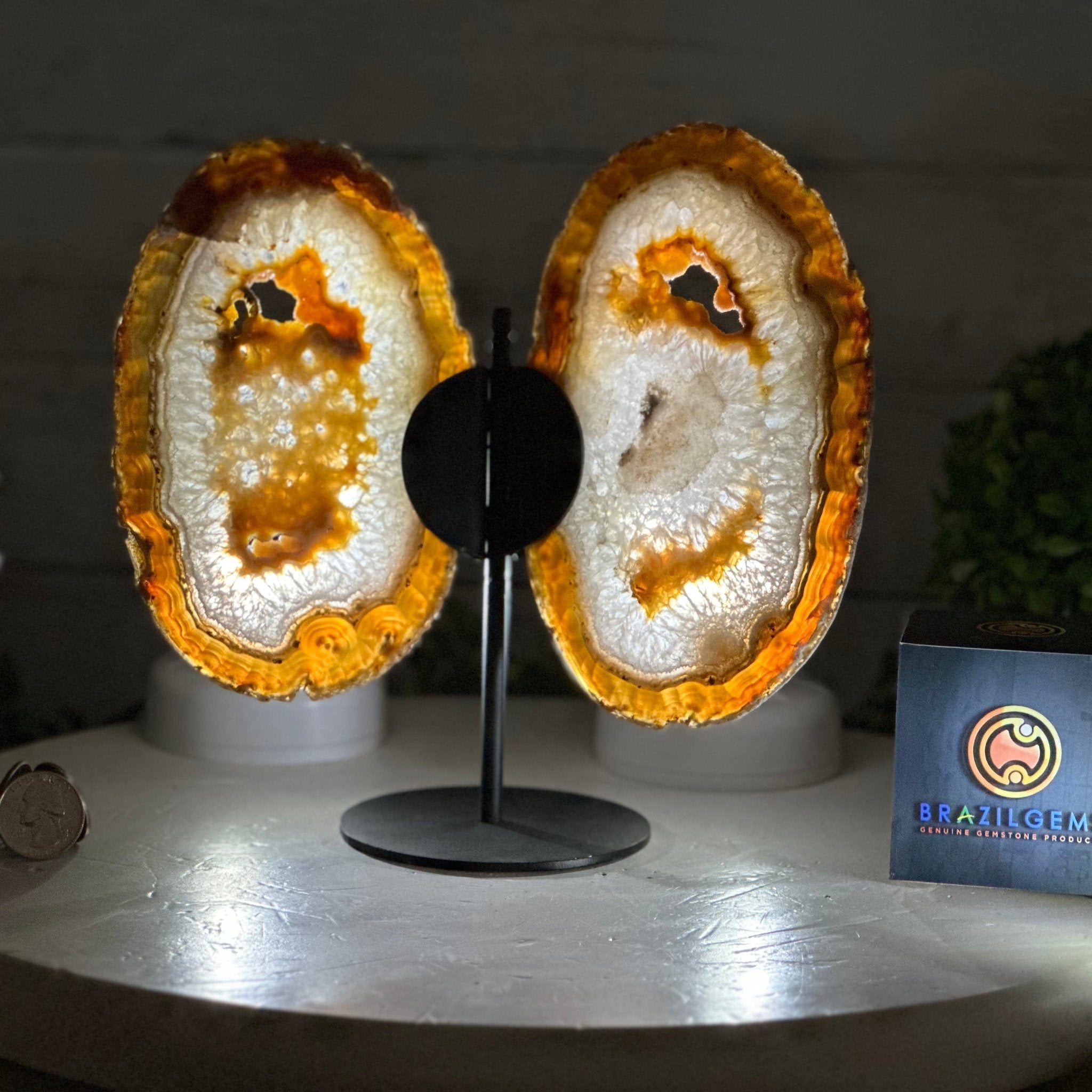 Natural Brazilian Agate "Butterfly Wings", 8.1" Tall #5050NA-153 - Brazil GemsBrazil GemsNatural Brazilian Agate "Butterfly Wings", 8.1" Tall #5050NA-153Agate Butterfly Wings5050NA-153