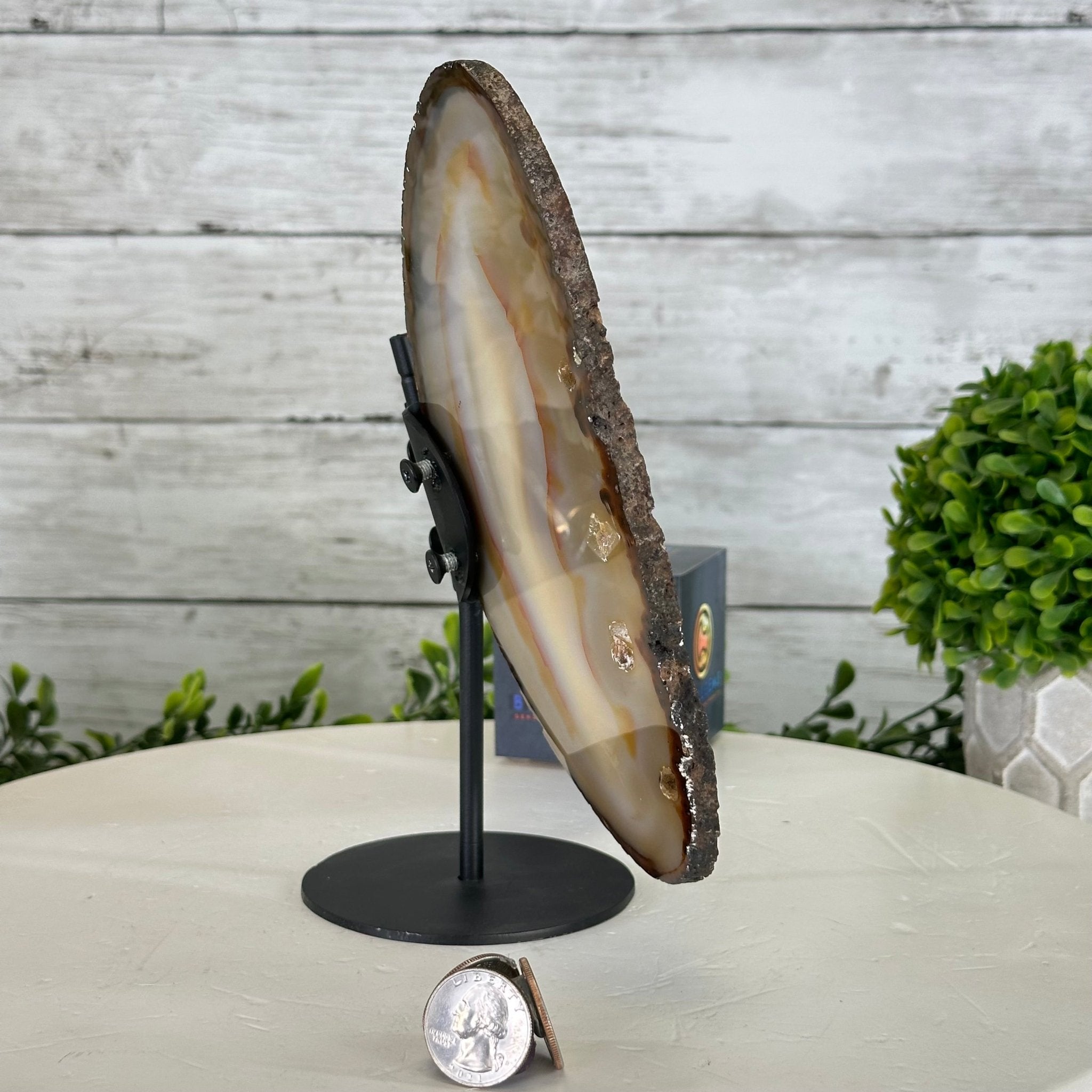 Natural Brazilian Agate "Butterfly Wings", 8.4" Tall #5050NA-108 - Brazil GemsBrazil GemsNatural Brazilian Agate "Butterfly Wings", 8.4" Tall #5050NA-108Agate Butterfly Wings5050NA-108