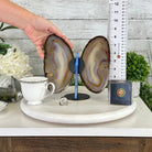 Natural Brazilian Agate "Butterfly Wings", 8.4" Tall #5050NA-108 - Brazil GemsBrazil GemsNatural Brazilian Agate "Butterfly Wings", 8.4" Tall #5050NA-108Agate Butterfly Wings5050NA-108