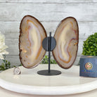 Natural Brazilian Agate "Butterfly Wings", 8.4" Tall #5050NA-108 - Brazil GemsBrazil GemsNatural Brazilian Agate "Butterfly Wings", 8.4" Tall #5050NA-108Agate Butterfly Wings5050NA-108