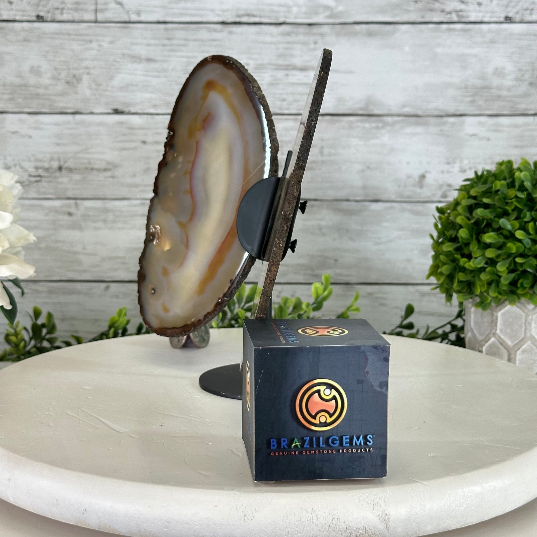Natural Brazilian Agate "Butterfly Wings", 8.4" Tall #5050NA-108 - Brazil GemsBrazil GemsNatural Brazilian Agate "Butterfly Wings", 8.4" Tall #5050NA-108Agate Butterfly Wings5050NA-108