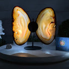 Natural Brazilian Agate "Butterfly Wings", 8.4" Tall #5050NA-108 - Brazil GemsBrazil GemsNatural Brazilian Agate "Butterfly Wings", 8.4" Tall #5050NA-108Agate Butterfly Wings5050NA-108