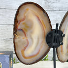 Natural Brazilian Agate "Butterfly Wings", 8.4" Tall #5050NA-108 - Brazil GemsBrazil GemsNatural Brazilian Agate "Butterfly Wings", 8.4" Tall #5050NA-108Agate Butterfly Wings5050NA-108