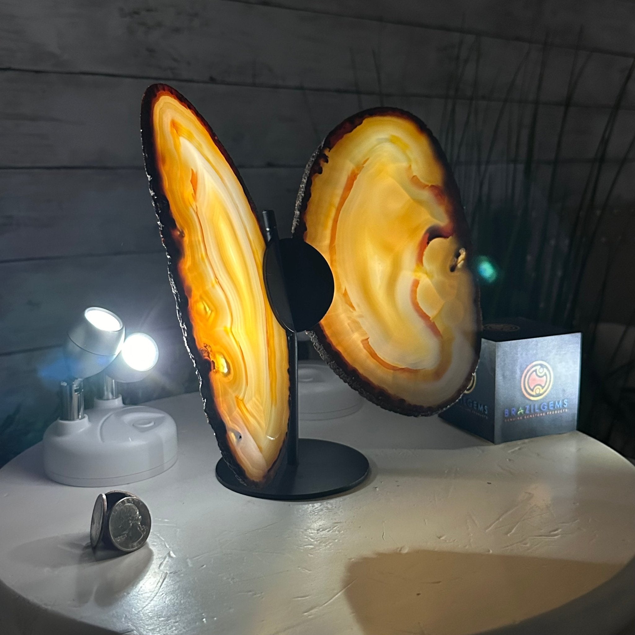 Natural Brazilian Agate "Butterfly Wings", 8.4" Tall #5050NA-108 - Brazil GemsBrazil GemsNatural Brazilian Agate "Butterfly Wings", 8.4" Tall #5050NA-108Agate Butterfly Wings5050NA-108