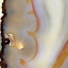 Natural Brazilian Agate "Butterfly Wings", 8.4" Tall #5050NA-108 - Brazil GemsBrazil GemsNatural Brazilian Agate "Butterfly Wings", 8.4" Tall #5050NA-108Agate Butterfly Wings5050NA-108