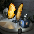 Natural Brazilian Agate "Butterfly Wings", 8.4" Tall #5050NA-108 - Brazil GemsBrazil GemsNatural Brazilian Agate "Butterfly Wings", 8.4" Tall #5050NA-108Agate Butterfly Wings5050NA-108