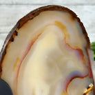 Natural Brazilian Agate "Butterfly Wings", 8.4" Tall #5050NA-108 - Brazil GemsBrazil GemsNatural Brazilian Agate "Butterfly Wings", 8.4" Tall #5050NA-108Agate Butterfly Wings5050NA-108