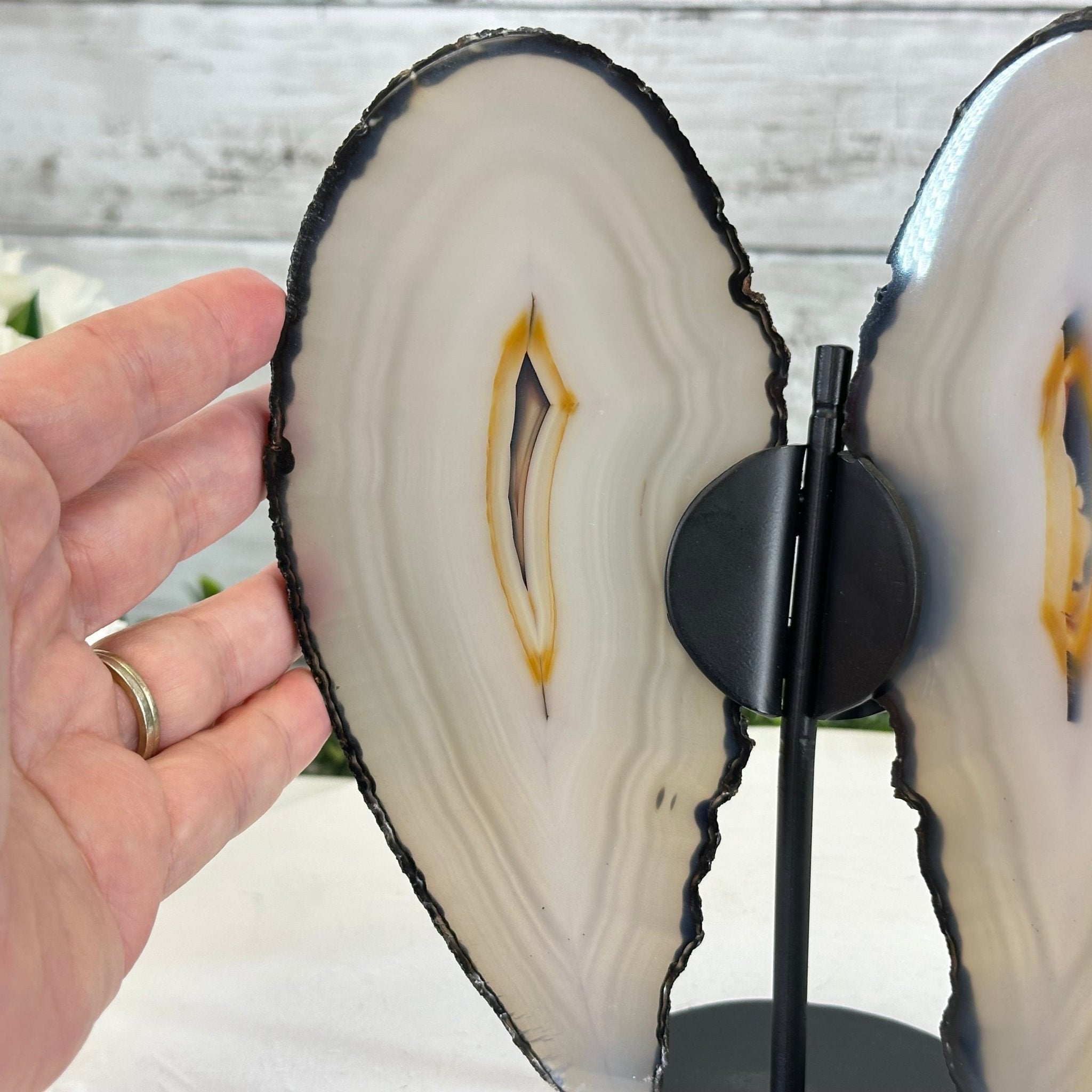Natural Brazilian Agate "Butterfly Wings", 8.4" Tall #5050NA-143 - Brazil GemsBrazil GemsNatural Brazilian Agate "Butterfly Wings", 8.4" Tall #5050NA-143Agate Butterfly Wings5050NA-143