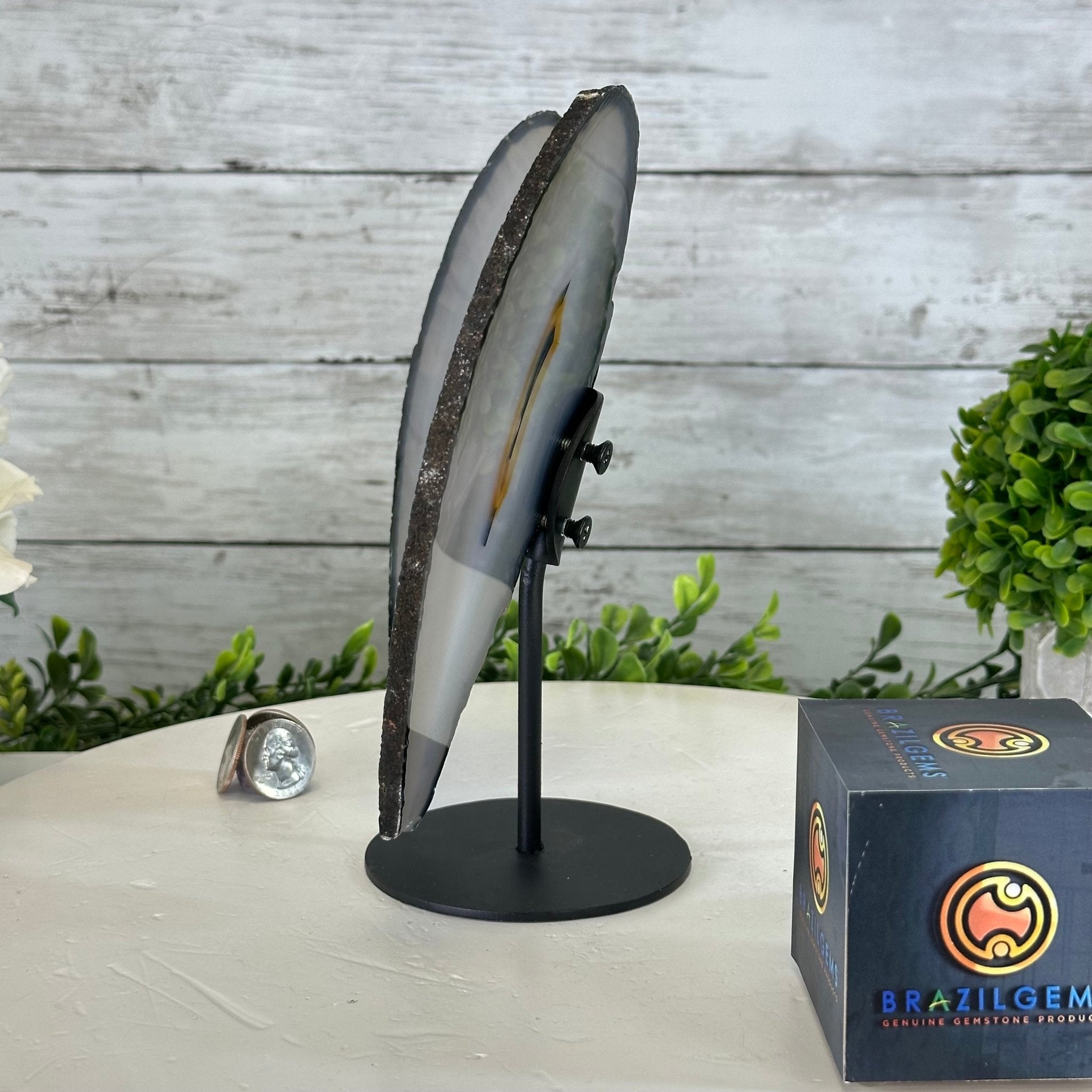 Natural Brazilian Agate "Butterfly Wings", 8.4" Tall #5050NA-143 - Brazil GemsBrazil GemsNatural Brazilian Agate "Butterfly Wings", 8.4" Tall #5050NA-143Agate Butterfly Wings5050NA-143