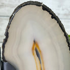 Natural Brazilian Agate "Butterfly Wings", 8.4" Tall #5050NA-143 - Brazil GemsBrazil GemsNatural Brazilian Agate "Butterfly Wings", 8.4" Tall #5050NA-143Agate Butterfly Wings5050NA-143