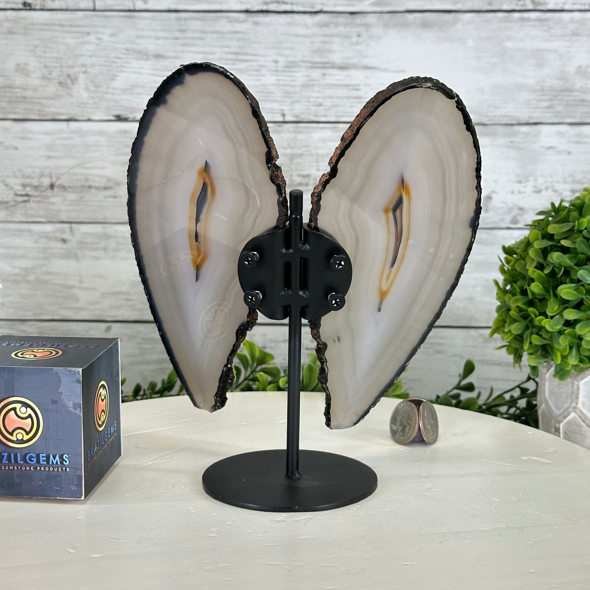 Natural Brazilian Agate "Butterfly Wings", 8.4" Tall #5050NA-143 - Brazil GemsBrazil GemsNatural Brazilian Agate "Butterfly Wings", 8.4" Tall #5050NA-143Agate Butterfly Wings5050NA-143