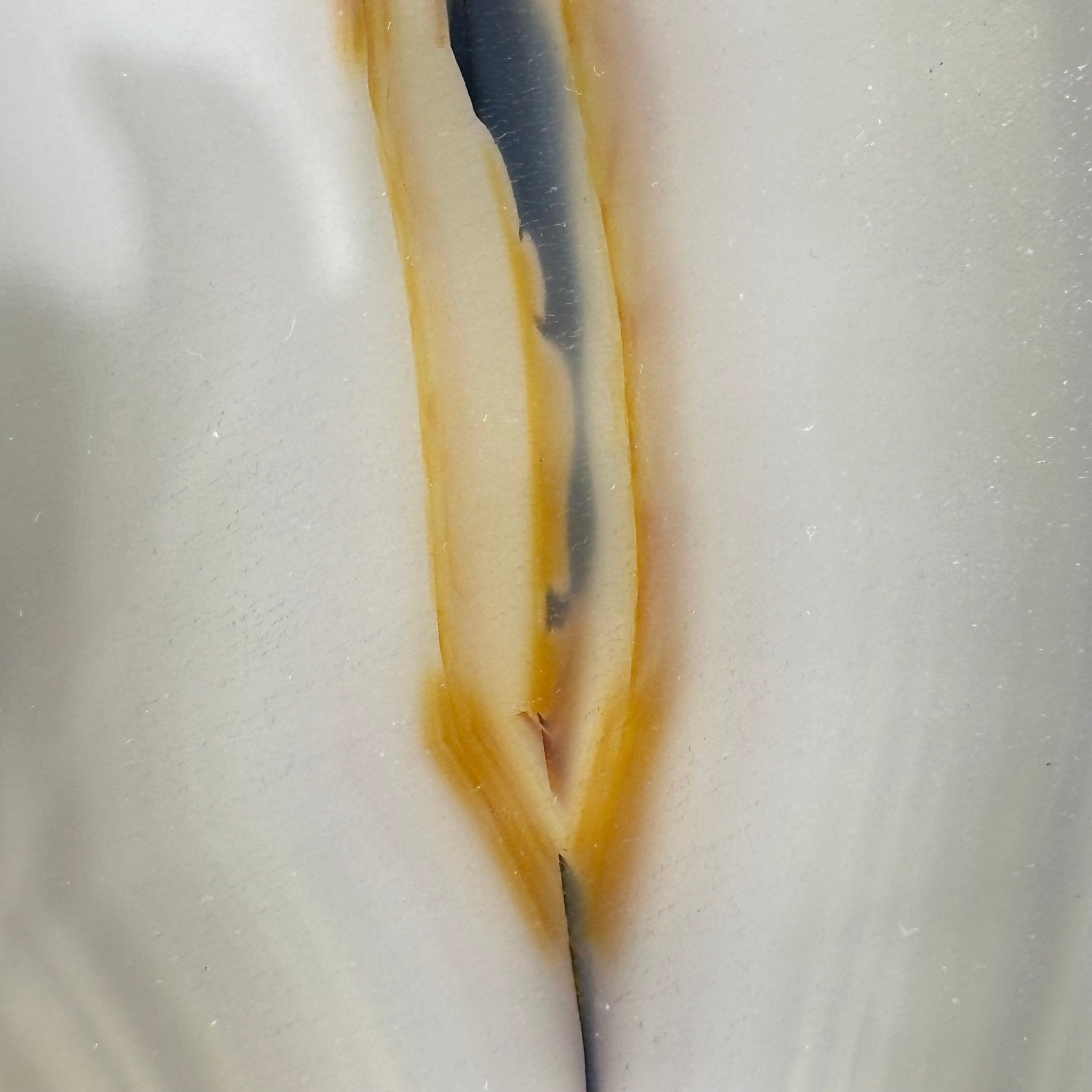 Natural Brazilian Agate "Butterfly Wings", 8.4" Tall #5050NA-143 - Brazil GemsBrazil GemsNatural Brazilian Agate "Butterfly Wings", 8.4" Tall #5050NA-143Agate Butterfly Wings5050NA-143
